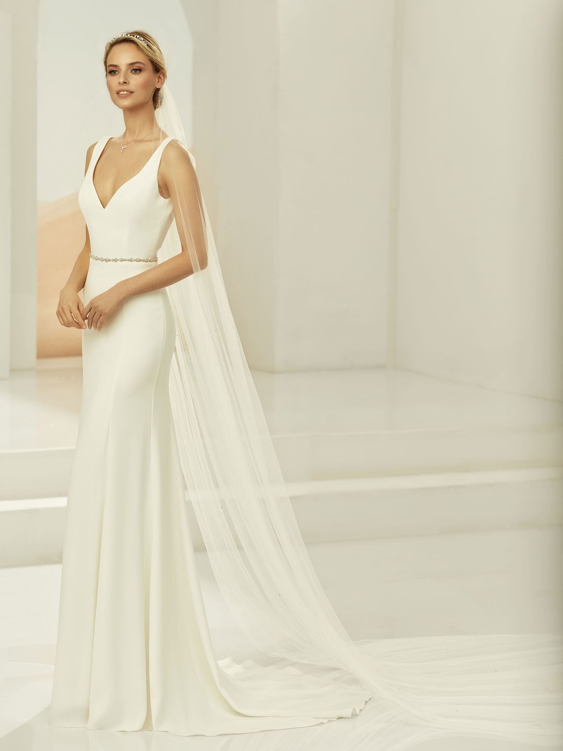 Cathedral Length Wedding Veil with Diamantes S382